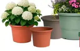 BayWa Blumentopf Geo Angebot