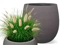 BayWa Luca Pflanztopf Terreno Angebot