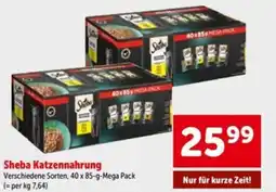 Interspar Sheba Katzennahrung Angebot