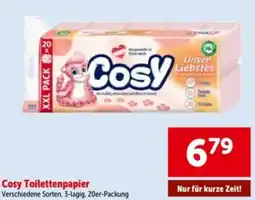Interspar Cosy toilettenpapier Angebot