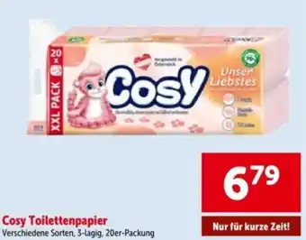 Interspar Cosy toilettenpapier Angebot