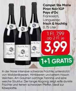 Eurospar Campet Ste Marie Pinot Noir IGP Pays d'Oc Angebot