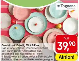 Eurospar Geschirrset 18-teilig Mint & Pink Angebot