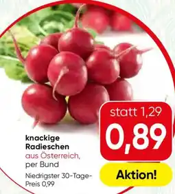 SPAR Gourmet knackige Radieschen Angebot