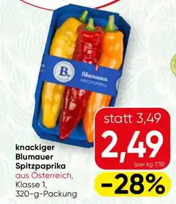 SPAR Gourmet knackiger Blumauer Spitzpaprika Angebot