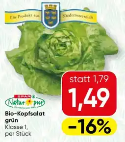 SPAR Gourmet Bio-Kopfsalat grün Angebot
