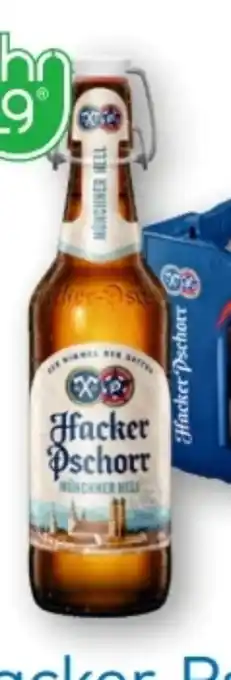 T&G Hacker Pschorr Münchner Hell Angebot