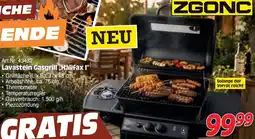 Zgonc Lavastein Gasgrill Halifax I Angebot