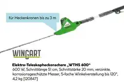 Hellweg Wingart Elektrischer Heckenschneider WTHS 600 Angebot