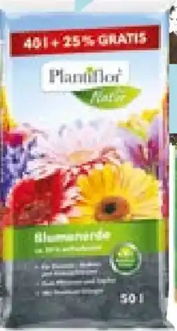 Hellweg Plantiflor Blumenerde Angebot