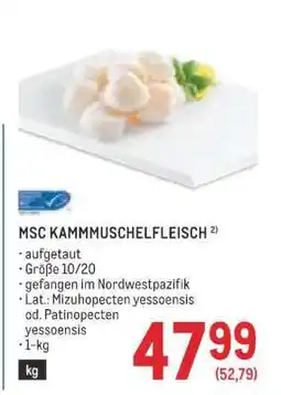 Metro MSC KAMMMUSCHELFLEISCH Angebot