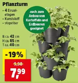 Thomas Philipps Pflanzturm Angebot