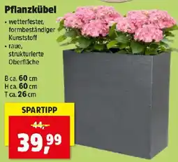 Thomas Philipps Pflanzkübel Angebot