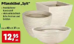 Thomas Philipps Pflanzkübel Sylt Angebot