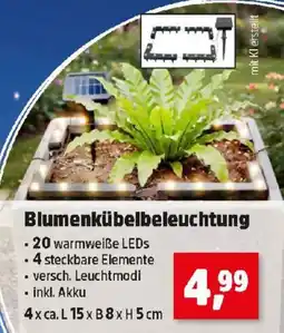 Thomas Philipps Blumenkübelbeleuchtung Angebot