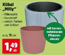 Thomas Philipps Kübel Milly Angebot