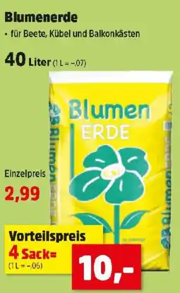 Thomas Philipps Blumenerde Angebot