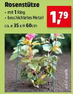 Thomas Philipps Rosenstütze Angebot