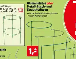 Thomas Philipps Blumenstütze oder Metall-Busch- und Strauchstützen Angebot