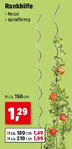 Thomas Philipps Rankhilfe Angebot