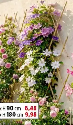 Thomas Philipps Bambus- Gartenspalier Angebot