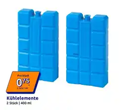 Action Kühlelemente Angebot