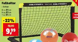 Thomas Philipps Fußballtor Angebot