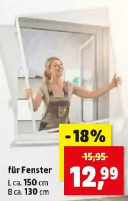 Thomas Philipps für Fenster Angebot