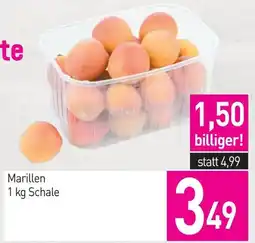 Sutterlüty Marillen Angebot