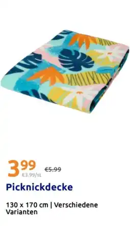 Action Picknickdecke Angebot
