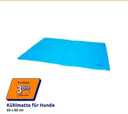 Action Kühlmatte für Hunde Angebot