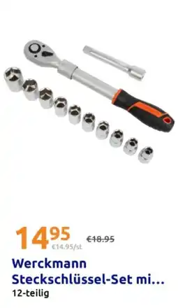 Action Werckmann Steckschlüssel-Set mi Angebot