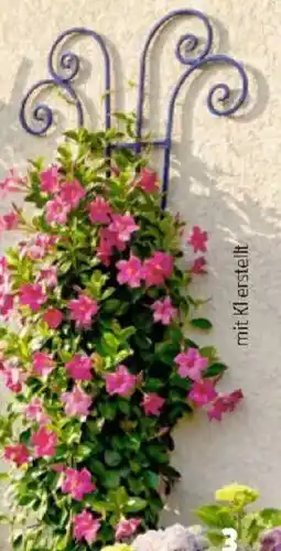 Thomas Philipps Metall- Blumenspalier Angebot