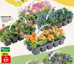 Thomas Philipps Beetware-Mix Angebot