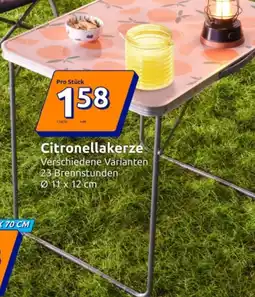 Action Froyak Campingtisch Angebot
