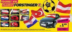 Forstinger WM-FANARTIKEL Österreich, Kroatien, Türkei, Serbien und Albanien Spiegelabdeckung und Fensterfahnen Angebot