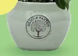 Bellaflora Kübel Heritage Garden Metallic Angebot