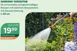 Bellaflora Giessstab Angebot