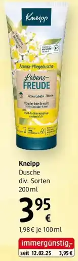 dm Kneipp Angebot
