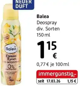 dm Balea Angebot