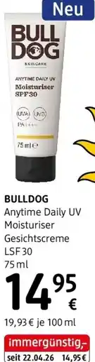 dm Bulldog Angebot