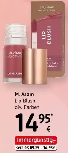 dm M.Asam Angebot