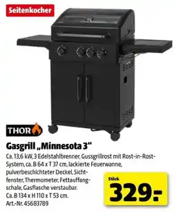 Hagebau Gasgrill,,Minnesota 3 Angebot