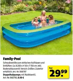 Hagebau Family-Pool Angebot