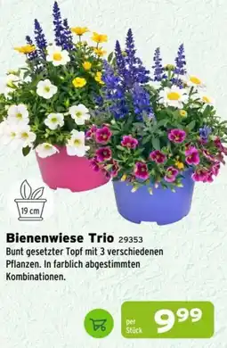 Salzburger Lagerhaus Bienenwiese Trio Angebot