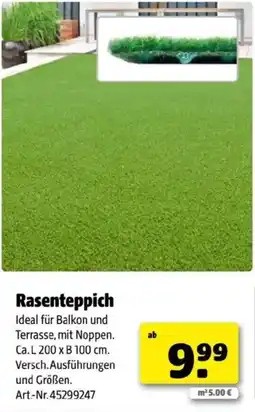 Hagebau Rasenteppich Angebot