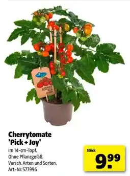 Hagebau Cherrytomate 'Pick+Joy Angebot