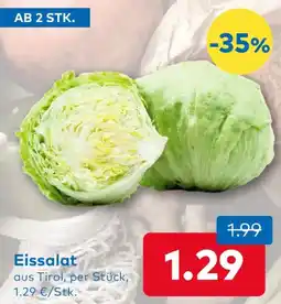 T&G Eissalat Angebot