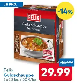 T&G FELIX Gulaschsuppe Angebot