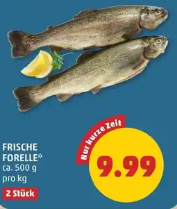 PENNY Frische forelle Angebot